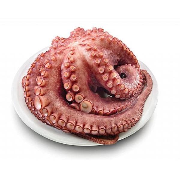 Pulpo Fresco Zocafish